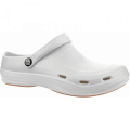 fitclog-basic